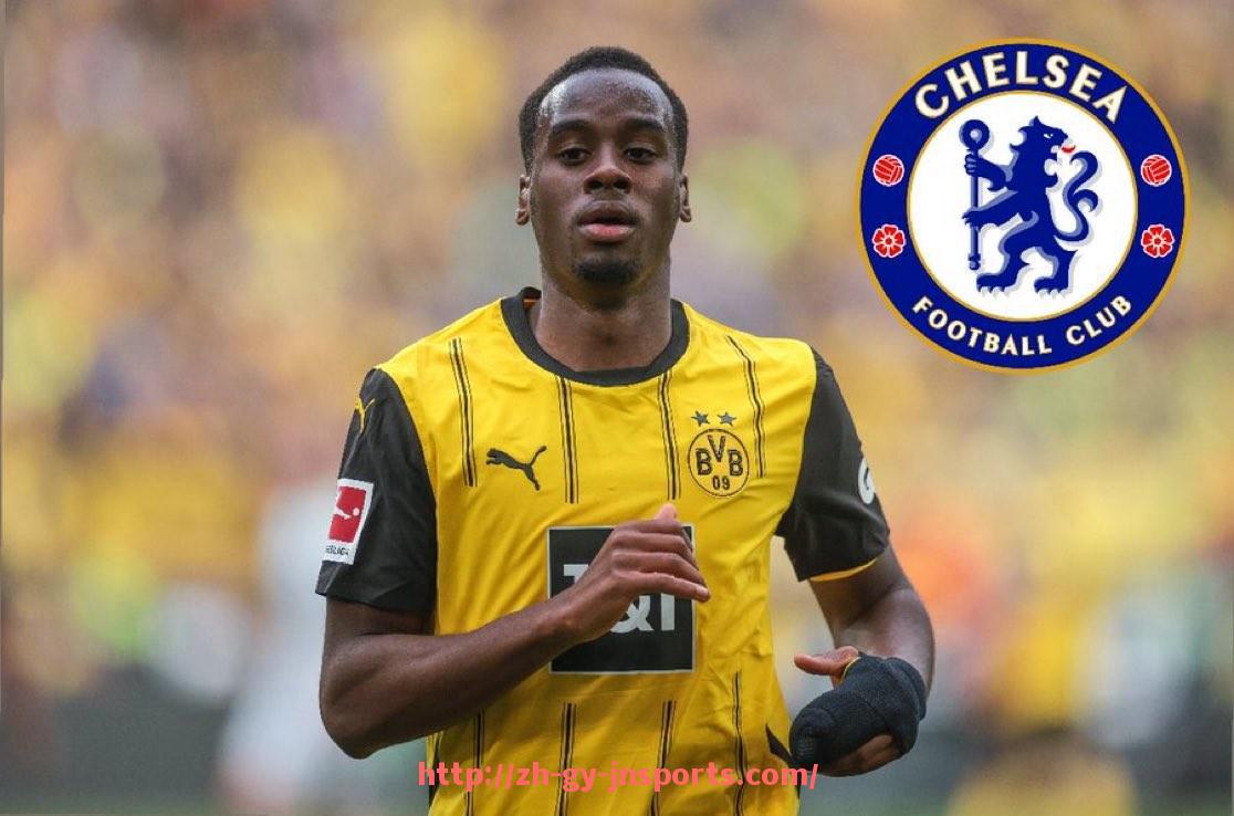 JN江南体育-英超联赛中注册的国际球员比例与来源国家分布