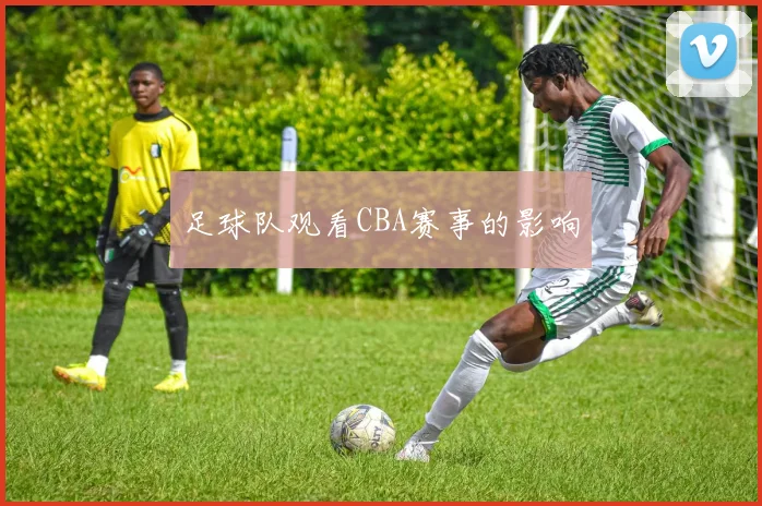 足球队观看CBA赛事的影响