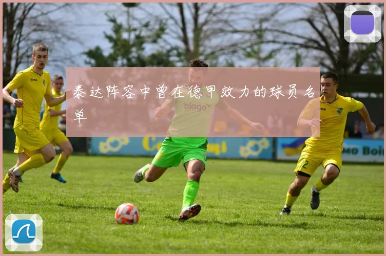 泰达阵容中曾在德甲效力的球员名单