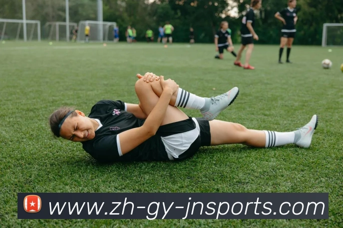 江南体育平台生态图