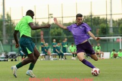 JN江南体育-FM2016游戏中英超球队队徽合集及图形资料