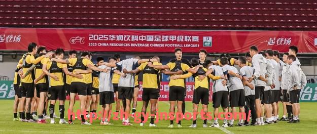 JN江南体育-法甲与德甲顶级球队竞争力比较，历史战绩与当前状态分析